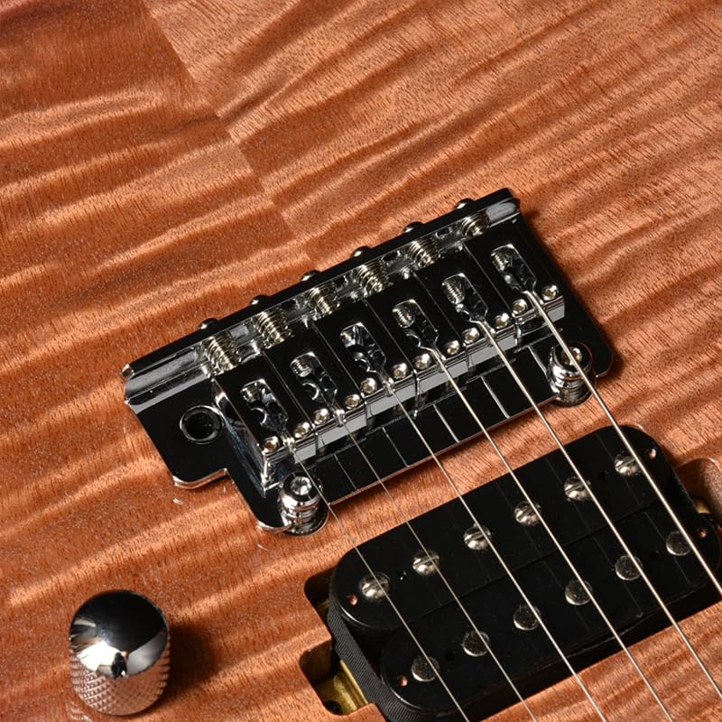 Bacchus TAC24 FMH-RSM/M N-BL-B エレキギター Bacchus TAC24 FMH-RSM/M N-BL-B エレキギター初心者14点セット
